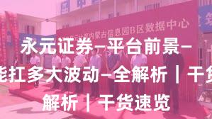 永元证券—平台前景—风控能扛多大波动—全解析｜干货速览