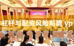 杠杆与配资风险前瞻 yp