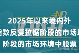 2025年以来境内外股市面对指数反复拉锯阶段的市场环境中股票